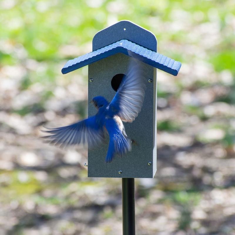 bluebird-houses-gilbertson-nest-box-pvc-blubird-house-the-birdhouse-chick