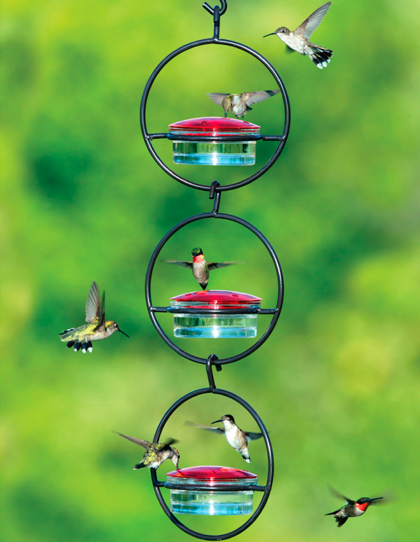 cool hummingbird feeder