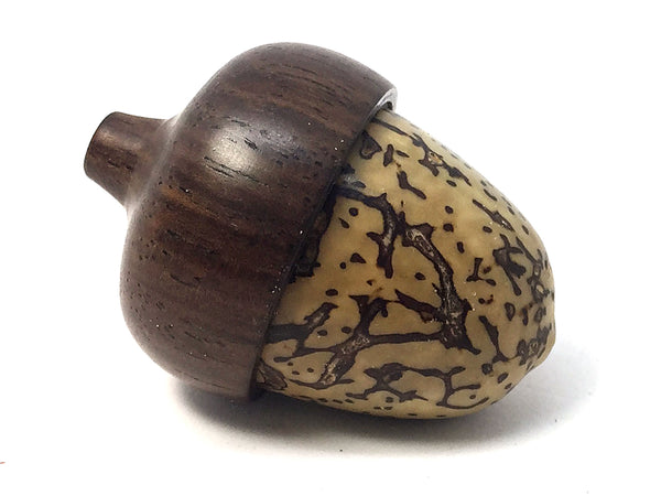 LV-4320 Yollilo Palm Nut with Leadwood cap Acorn Engagement Ring Box, – Elvio Design