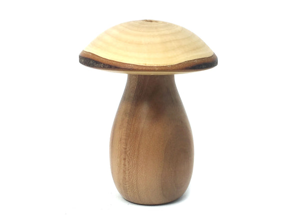 LV-4335 Real Yellowwood & Dogwood Mushroom Keepsake Box, Pill, Jewelry – Elvio Design
