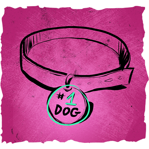 Number one dog collar