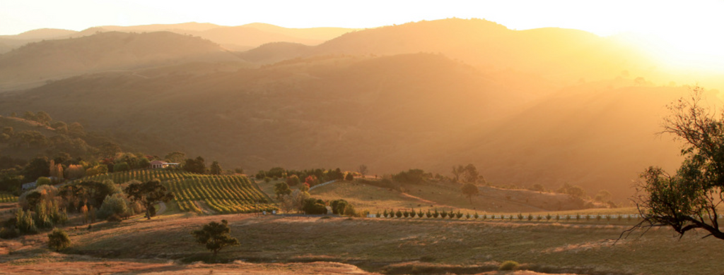 Brindabella Hills