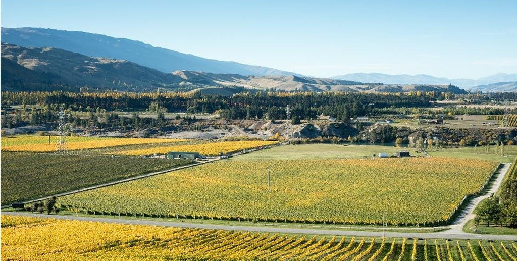 Felton Road MacMuir Vineyard