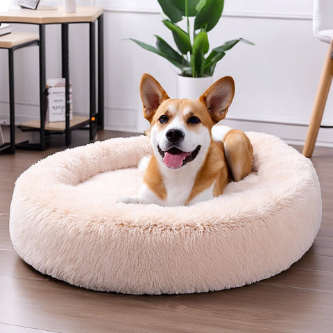 anti-anxiety dog bed inside