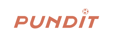 Pundit Logo