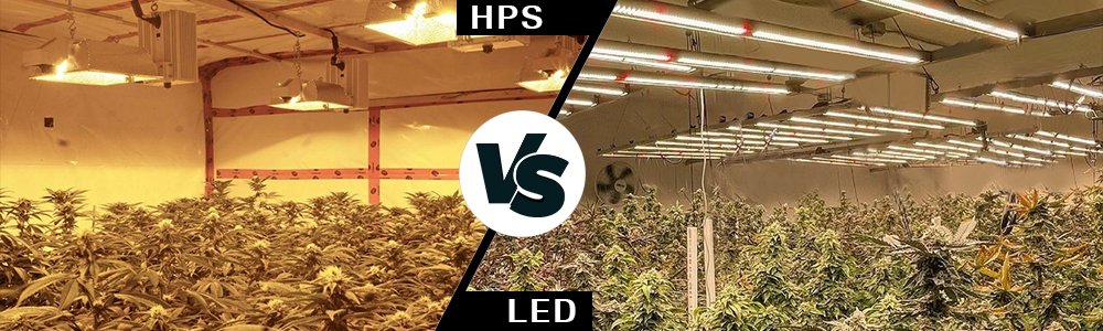 Phlizon LED Grow Light  VS. HPS Grow Light:  Which is the Better for  Indoor Gardening