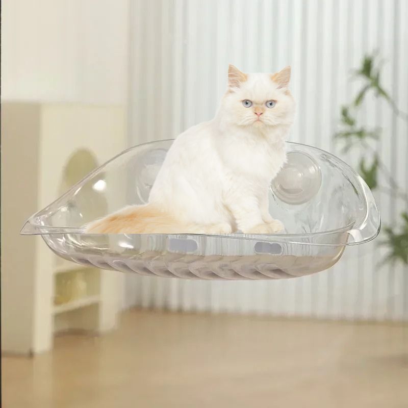 Hamac chat fenetre transparent collĂ© avec des ventouses sur une fenĂȘtre avec un chat blanc assis dessus.