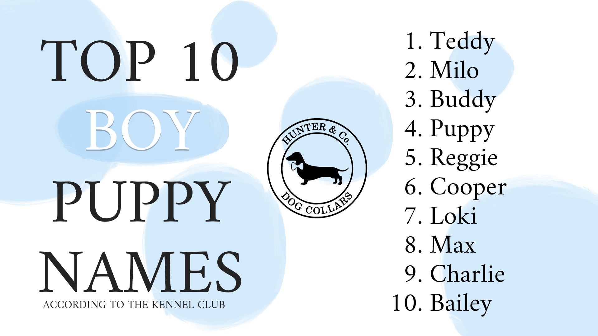 Top 10 Boy Puppy Names of 2022