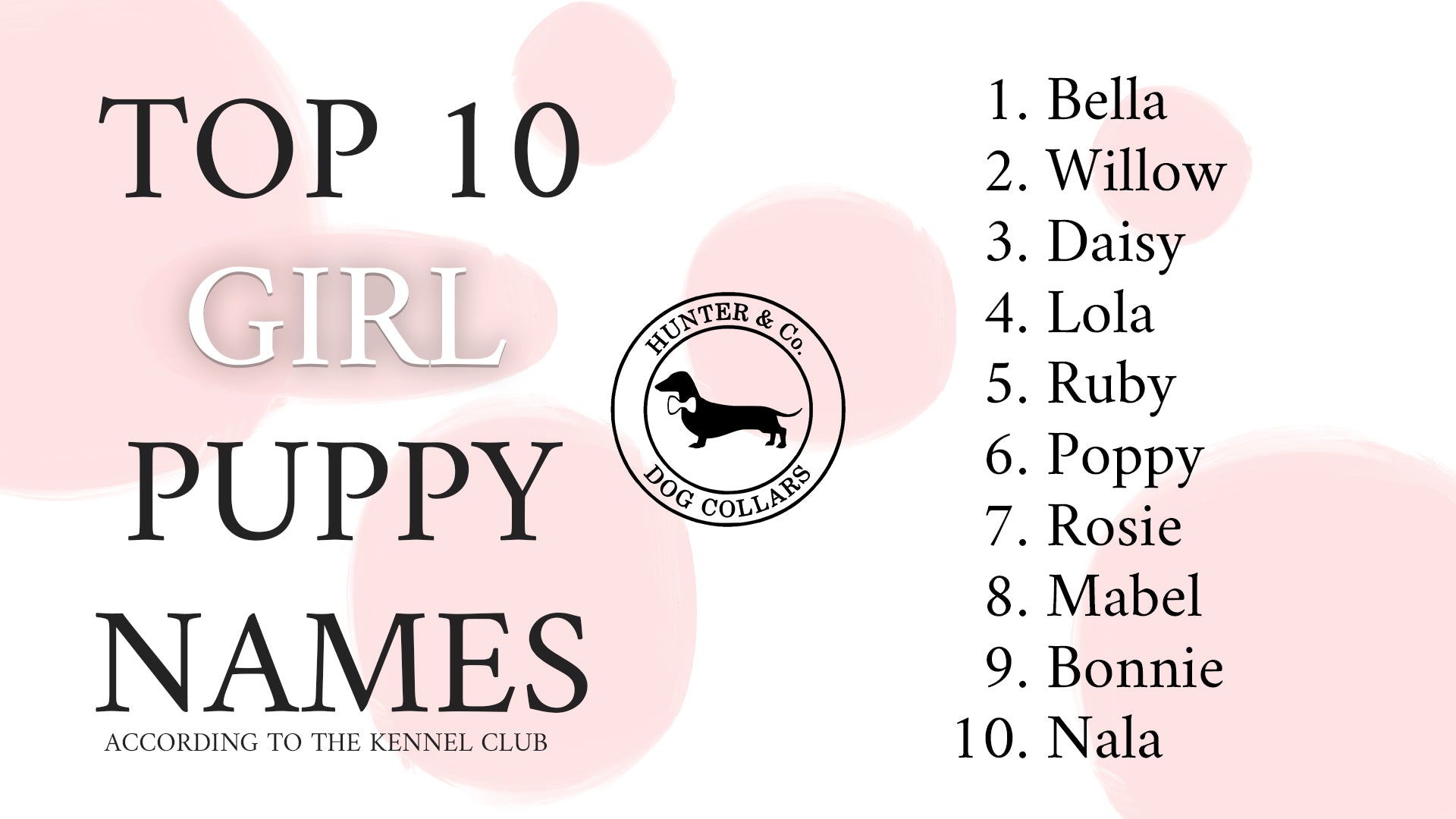 Top 10 Girl Puppy Names of 2022