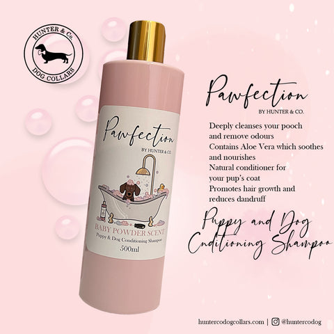 Pawfection by Hunter & Co. Puppy and Dog Conditioning Shampoo