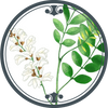 Moringa