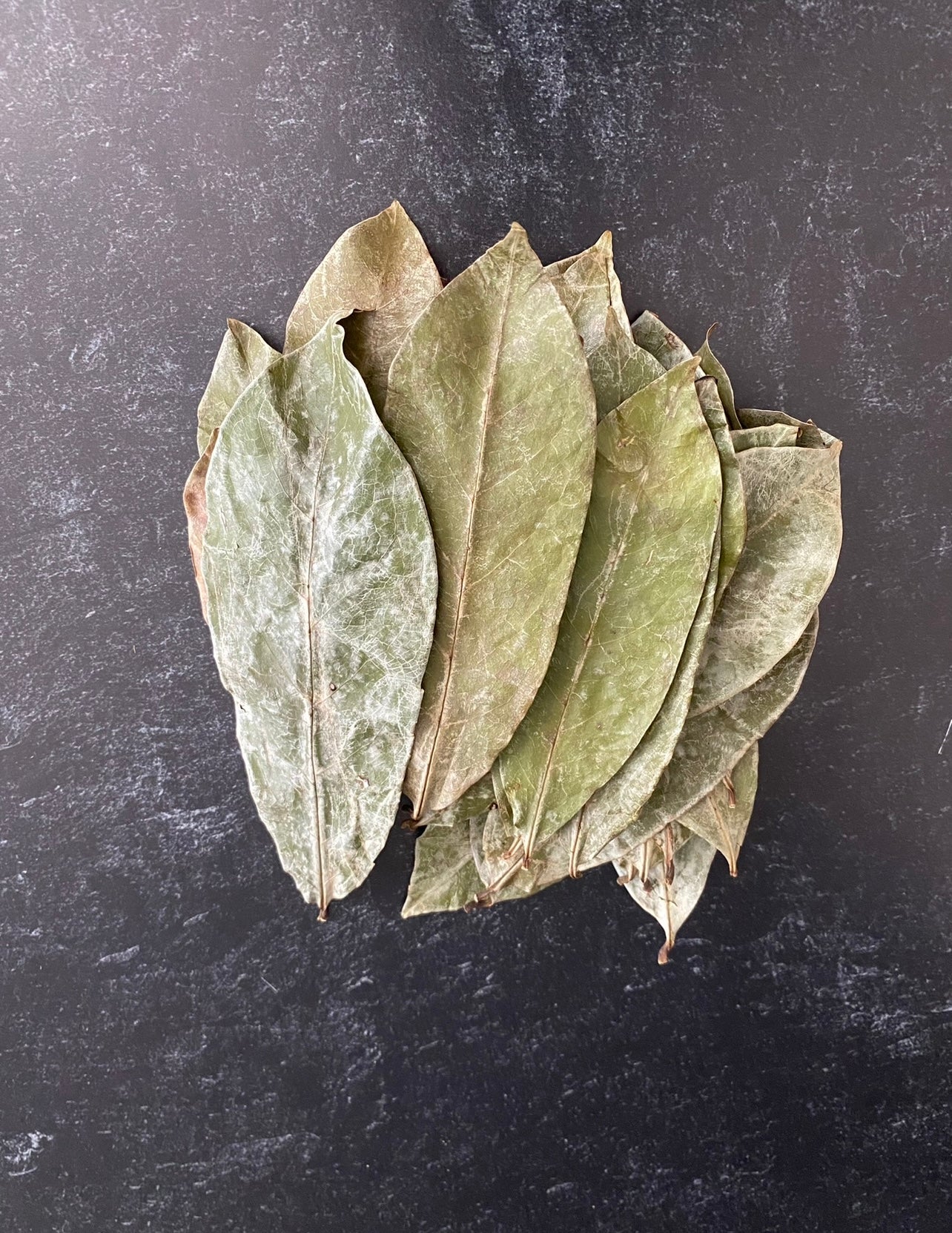 Soursop Leaves