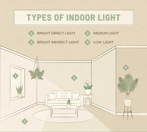 Types of indoor lights