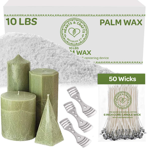 Ice Candle Wax and Wicks for DIY Candle Making, All-Natural - 10Lb Bag with  50Ct