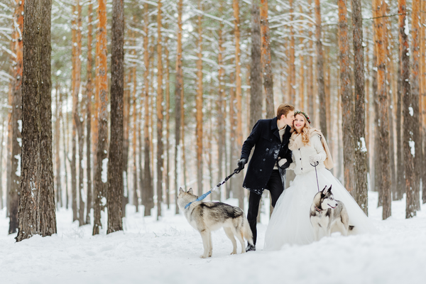 winter wedding couple in the snow with huskies