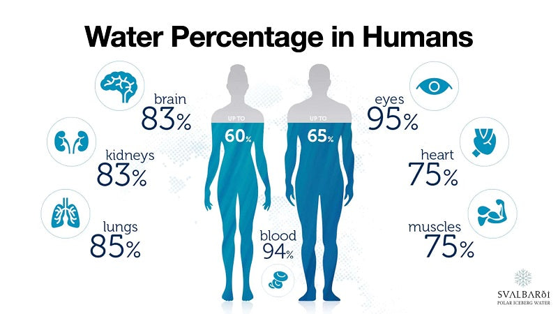 water percent