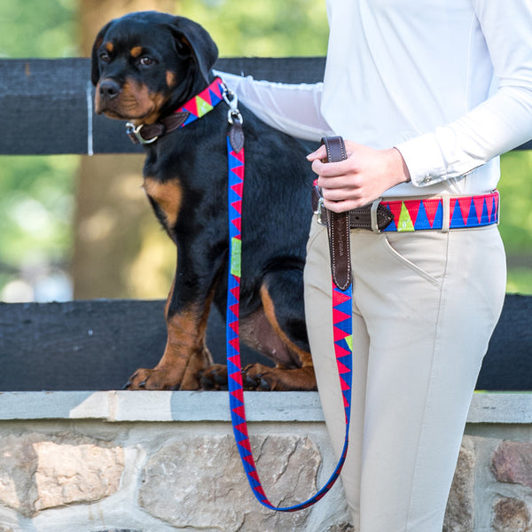boy dog collars and leashes