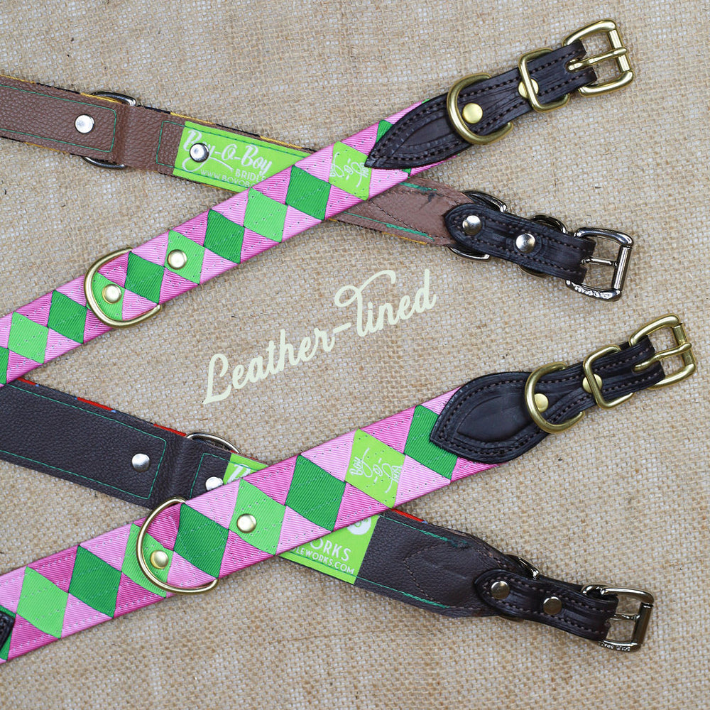 dog collar with buckle closure