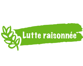 Lutte-raisonnee