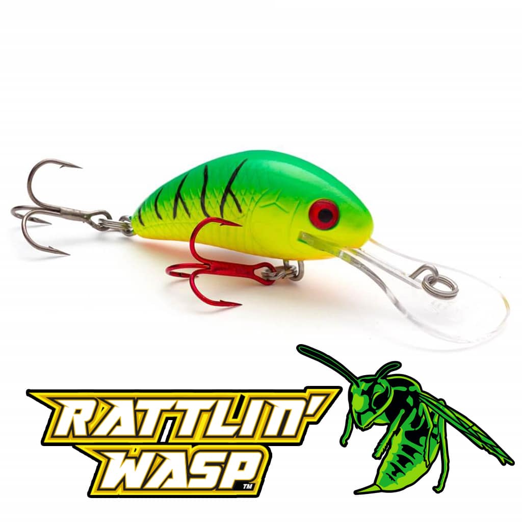 Tackle Industries Super Cisco Medium Diving Crankbait - Perch by Sportsman's Warehouse