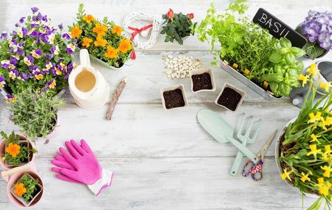 gardening kit and flowers