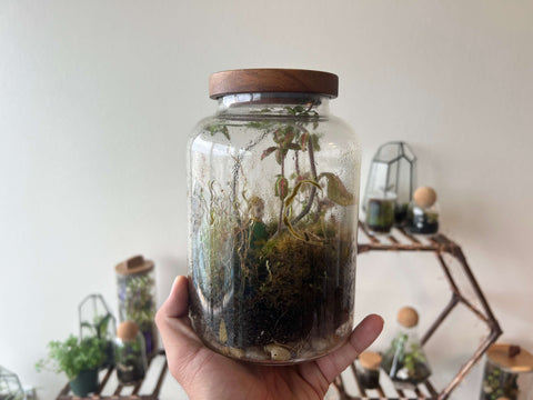 long living terrarium