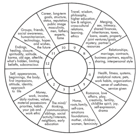 chart detailing each of the 12 houses in a natal chart.