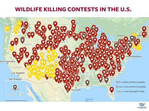 Map of states with wildlife killing contests