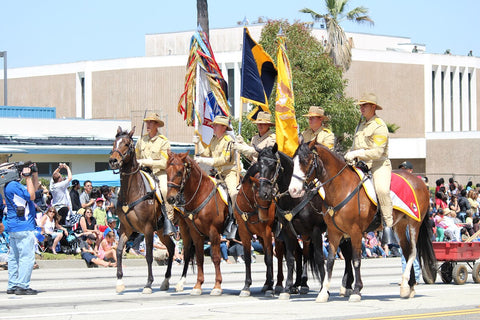 horse mounted veterans in a parade