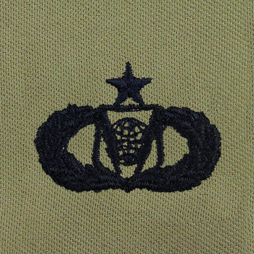 Air Force Command and Control Embroidered ABU Badge | USAMM