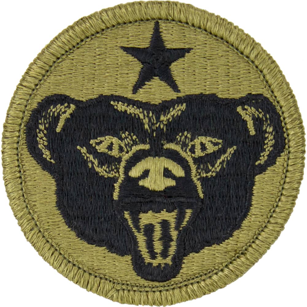 Army Ocp Patches