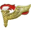 army pathfinder badge