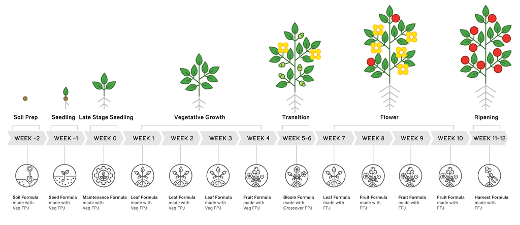 12 Week Plant Nutrient Cycle