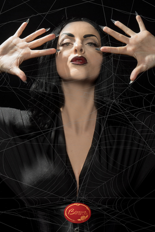 retro-halloween-spiderweb-lady-costume-makeup