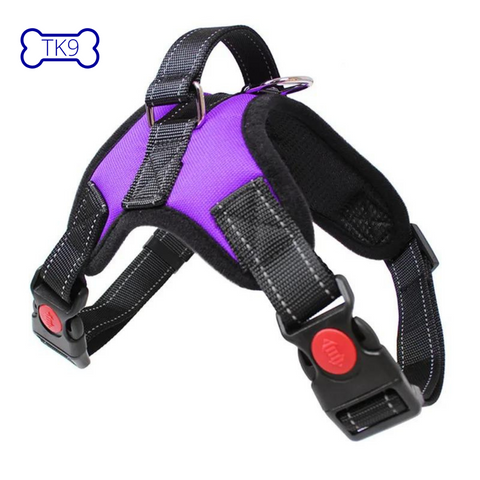 Simple purple harness - all breeds