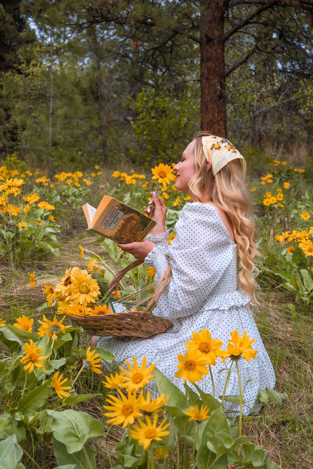 Fields of Wildflowers: Nature's Color Palette