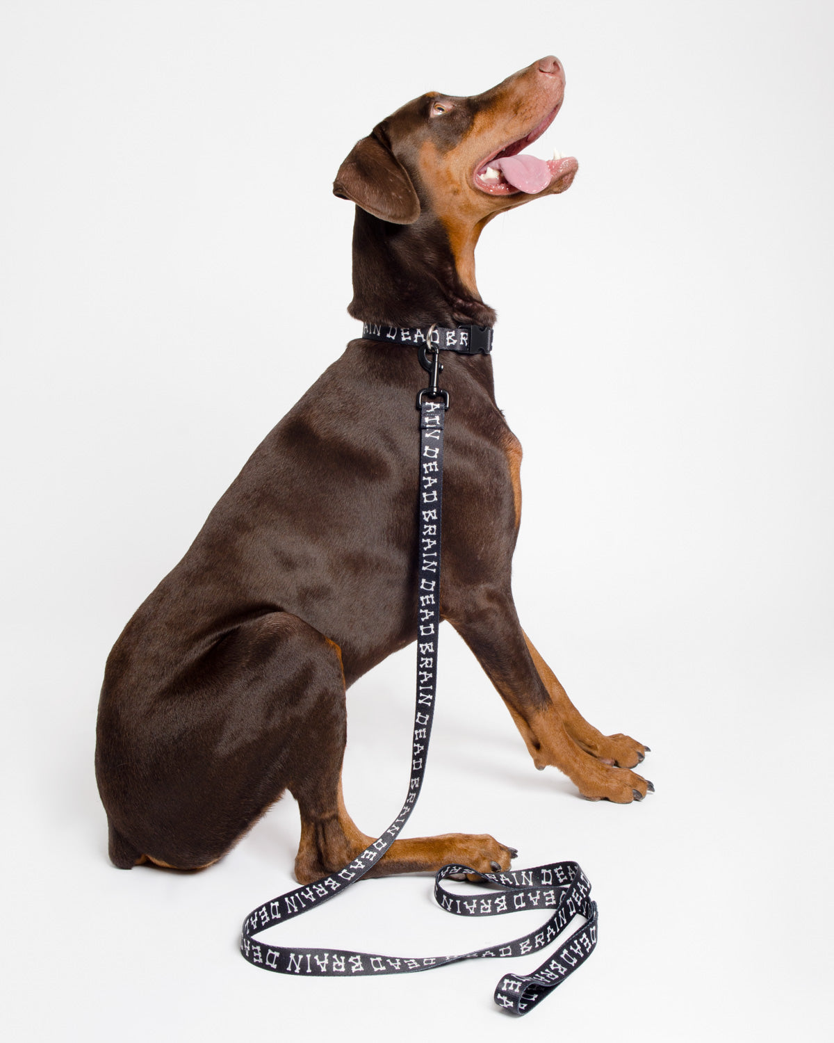 Boneman Dog Collar - Black