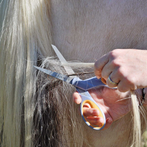 how to cut horse hair for bracelets - cut as close to the tailbone as possible