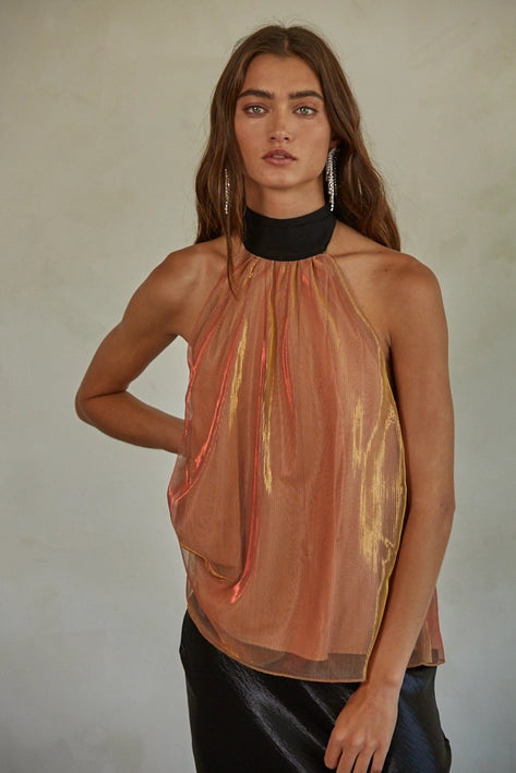Halter Tie Neck Sunburnt Top