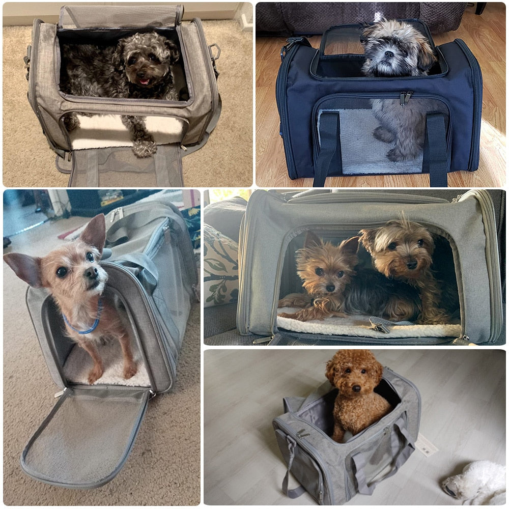 travel bag for small dogs