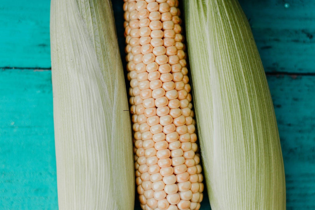 Corn