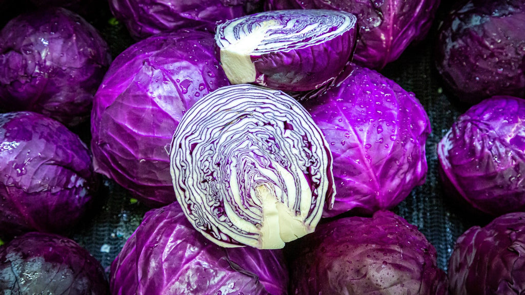 Cabbage