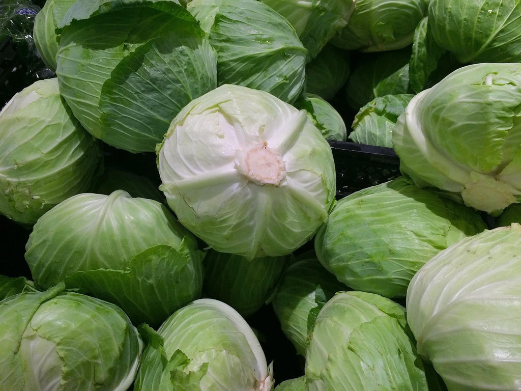 Cabbage