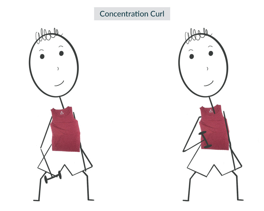 Concentration Curls for Tall Guys