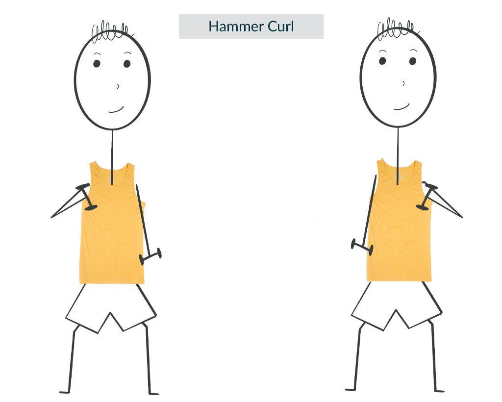 Hammer Curl for Tall Guys