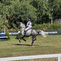 A horse competing in cross country
