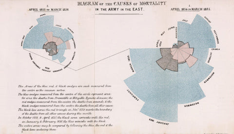 Nightingale Rose diagram