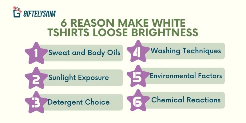 6 Reasons Make Your White Tshirt Loose Brightness