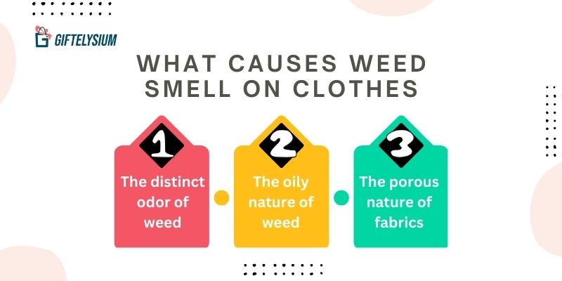 Why Weed Smell Matters With Clothes