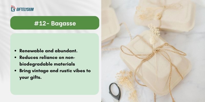 Why You Should Choose Bagasse Instead of Cellophane